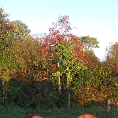 The Oaks Kiltyclogher